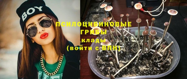 индика Михайловка